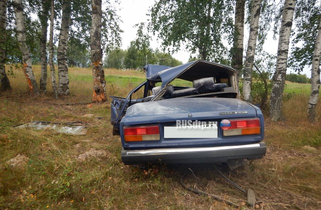 В Пучежском районе пьяный водитель ВАЗа съехал в кювет и врезался в дерево. Погиб пассажир
