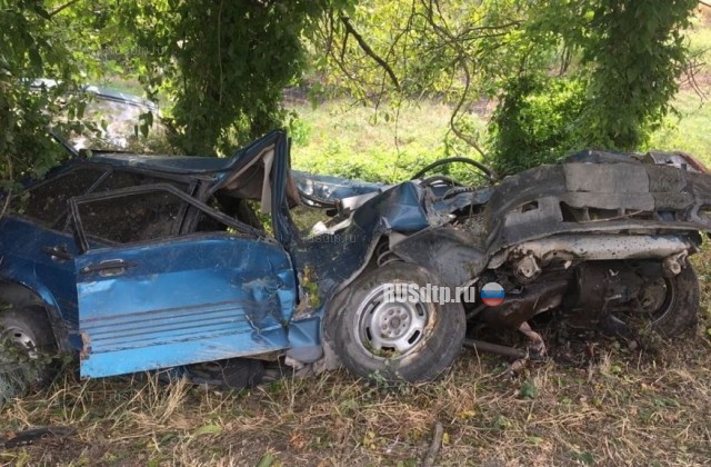 На Кубани 33-летний водитель «девятки» погиб, врезавшись в дерево