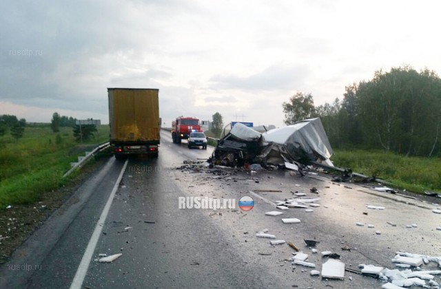 Водитель «Газели» погиб в ДТП с грузовиком на трассе «Сибирь»