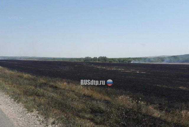 На Ставрополье из-за горящей в поле травы столкнулись 10 автомобилей