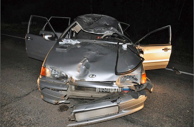 В Рязанской области 41-летний водитель погиб, сбив на автомобиле лося