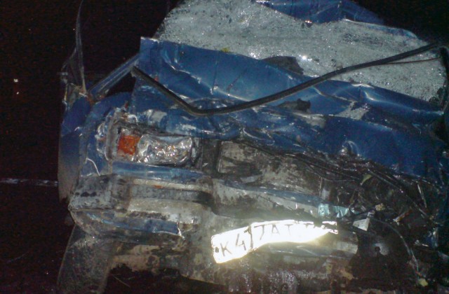 В Рязанской области ВАЗ-2104 столкнулся с грузовиком. Трое погибли