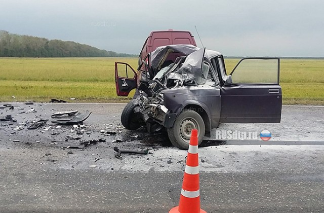В Шацком районе районе в ДТП погиб водитель «Жигулей»