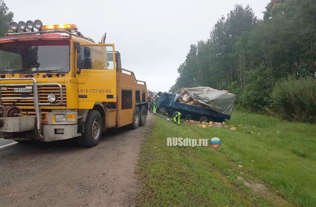 МВД обнародовало фото с места ДТП в Смоленской области, где погибли пять человек