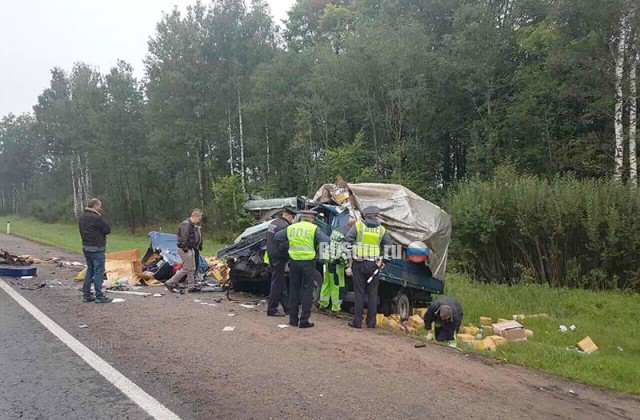 МВД обнародовало фото с места ДТП в Смоленской области, где погибли пять человек