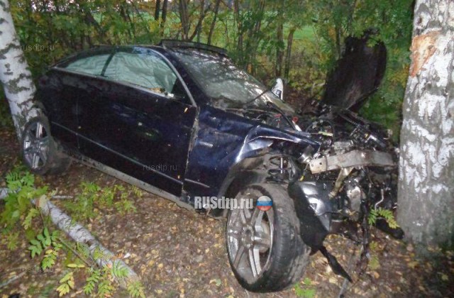 В Тамбовской области водитель «Мерседеса» погиб, врезавшись в дерево