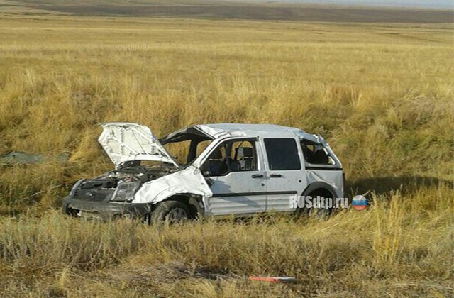 Двое погибли и пятеро пострадали в ДТП в Оренбургской области