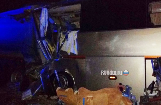Шесть человек погибли в ДТП с автобусом на трассе М-4 «Дон» в Горячем Ключе