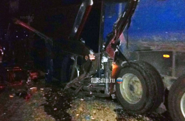 Шесть человек погибли в ДТП с автобусом на трассе М-4 «Дон» в Горячем Ключе