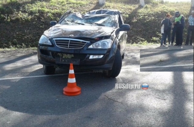 На Кубани упавший тополь раздавил машину с водителем
