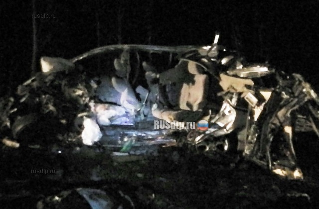 Четыре человека погибли в ДТП на заснеженной трассе Курган &#8212; Тюмень