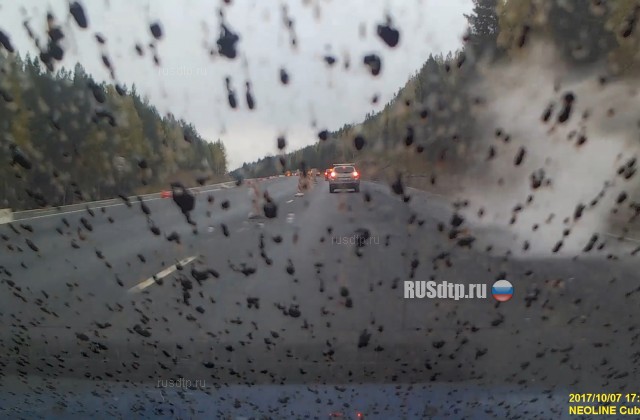 Более 40 автомобилей облили битумом на трассе Екатеринбург — Челябинск