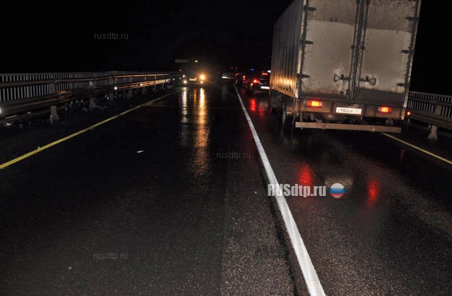 В Рязанской области «Hyundai» сбил пассажира попавшего в ДТП грузовика