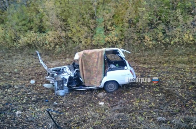 На автодороге «Тольятти &#8212; Ягодное» погиб 58-летний водитель «Жигулей»