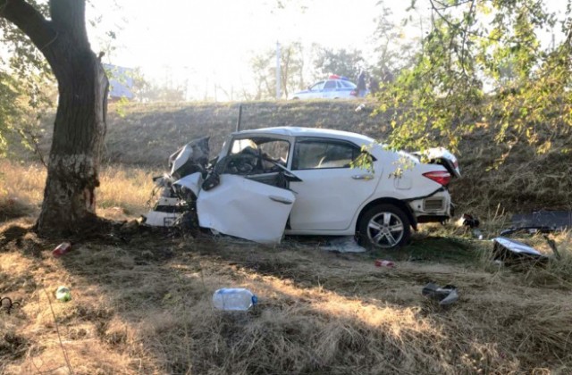 В Сальском районе Toyota Corolla врезалась в столб, двое погибли