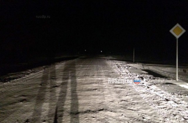 В Якутии пьяный водитель сбил семерых подростков