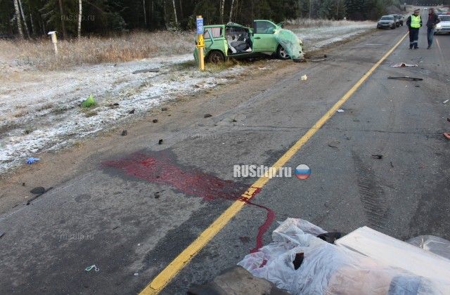Жители Ивановской области погибли, возвращаясь из аэропорта Домодедово
