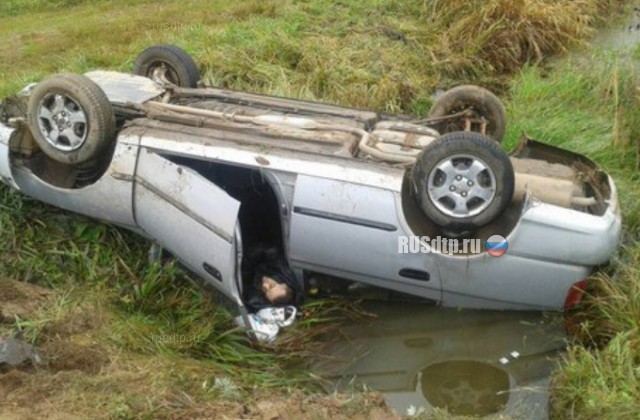 В Псковской области водитель погиб, опрокинувшись на машине в канаву с водой