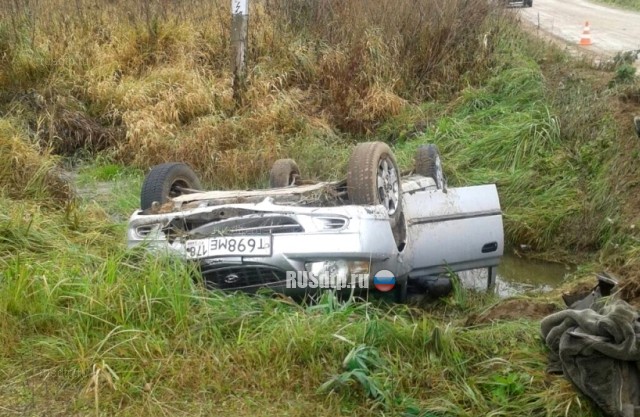 В Псковской области водитель погиб, опрокинувшись на машине в канаву с водой