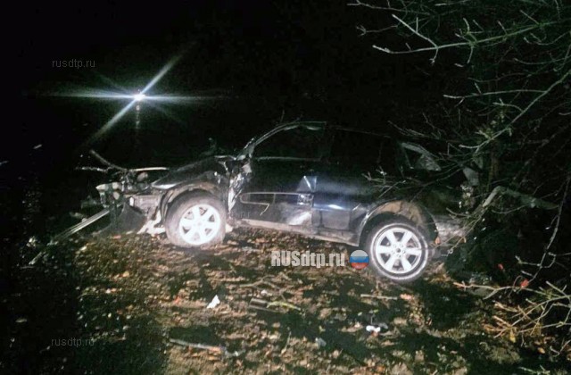Под Краснодаром 35-летний водитель «Тойоты» погиб, врезавшись в дерево
