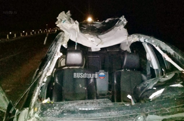 Два автомобиля врезались в табун лошадей в Томской области