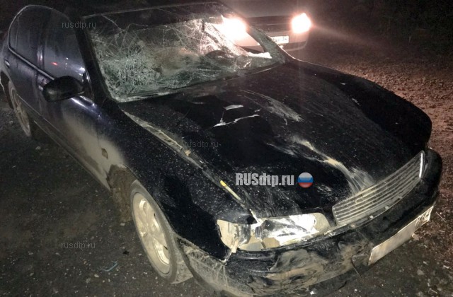 В Волгоградской области водитель сбил четверых пешеходов и скрылся с места ДТП