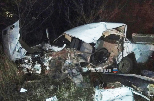 Лишенный прав водитель «Жигулей» погиб в ДТП в Быковском районе