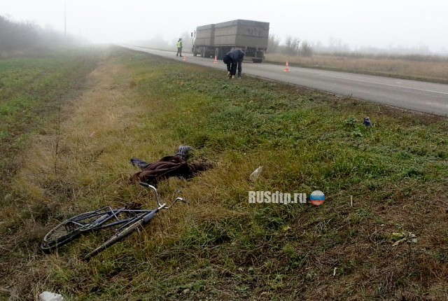В Волгоградской области водитель КАМАЗа насмерть сбил велосипедиста и скрылся с места ДТП
