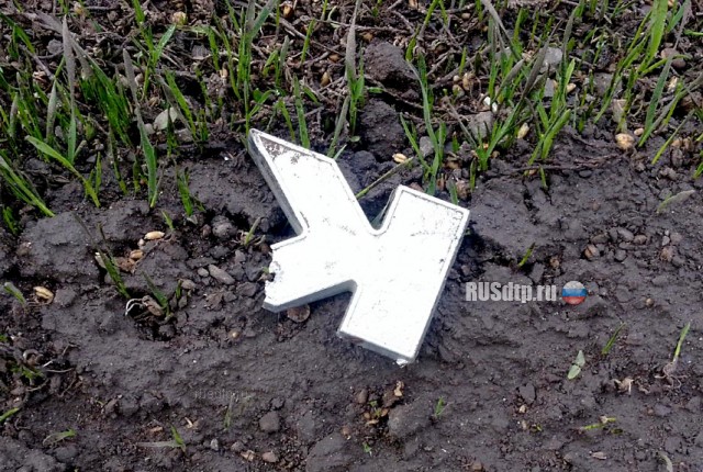 В Волгоградской области водитель КАМАЗа насмерть сбил велосипедиста и скрылся с места ДТП