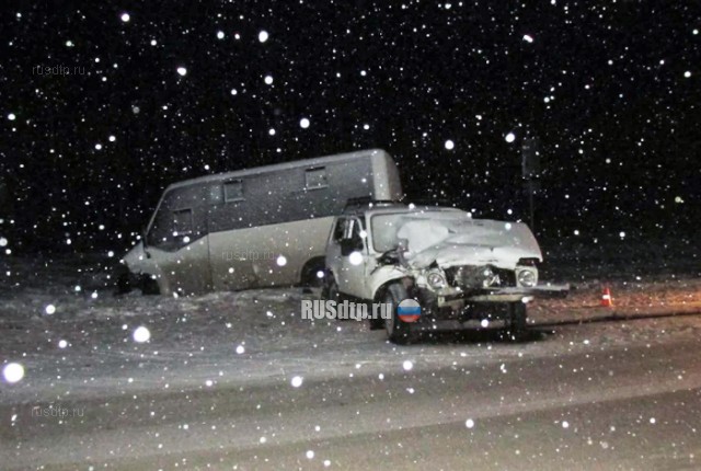 ВИДЕО: 7 человек пострадали в ДТП с микроавтобусом в Коми