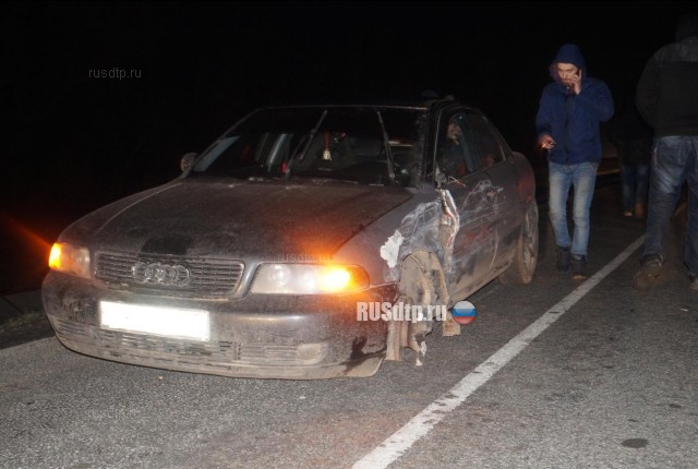 Два человека погибли в ДТП на трассе М-2 «Крым» в Орловской области