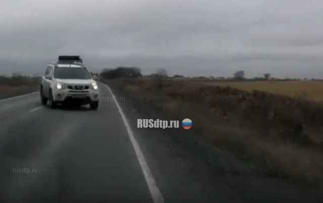 Два автомобиля столкнулись на Ропшинском шоссе