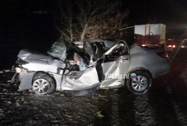 В Борисоглебске 54-летний водитель разбился за рулем китайской иномарки