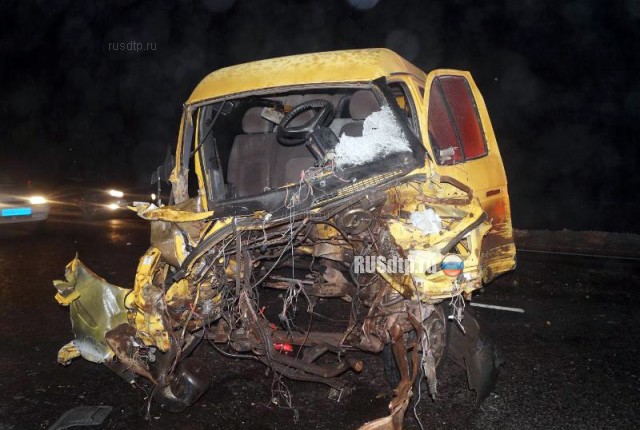 В Тамбовской области в ДТП с участием микроавтобуса погибли два человека