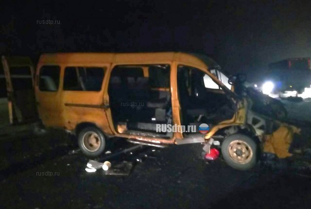 В Тамбовской области в ДТП с участием микроавтобуса погибли два человека