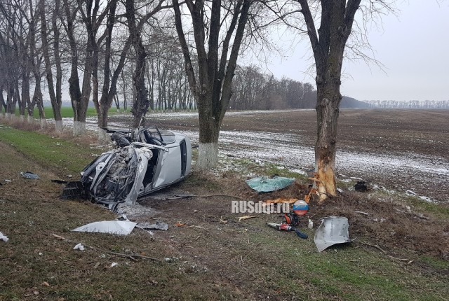 На Кубани в ДТП погибли водитель и пассажир  «Тойоты»