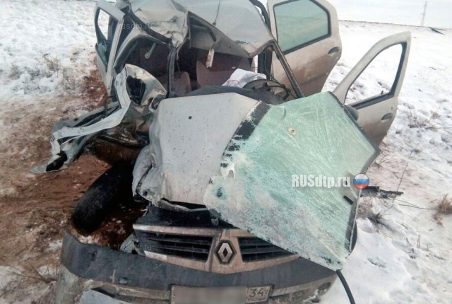 В Астраханской области выбежавшие на дорогу лошади спровоцировали смертельное ДТП