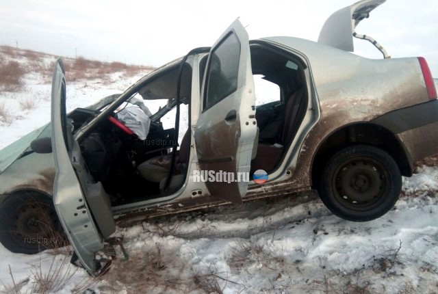В Астраханской области выбежавшие на дорогу лошади спровоцировали смертельное ДТП
