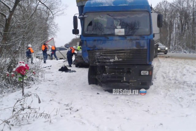 Женщина погибла в ДТП на трассе М-2 «Крым» в Щёкинском районе