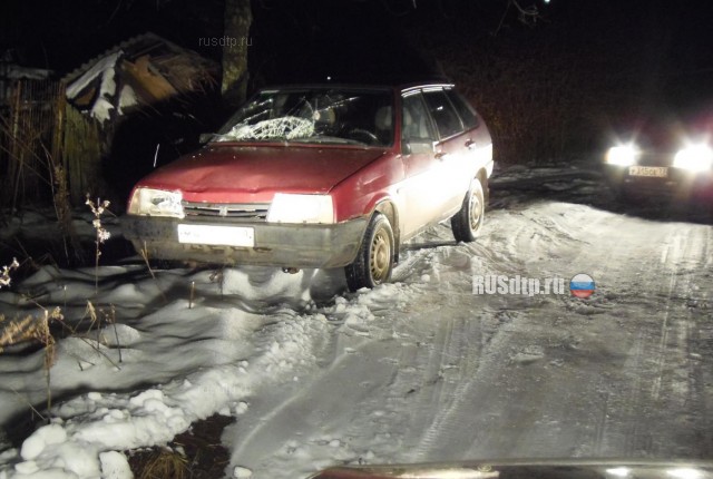 В Тверской области пьяный 17-летний подросток сбил молодую пару