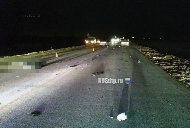«Киа Рио» насмерть сбил двоих пешеходов на трассе Уфа-Оренбург