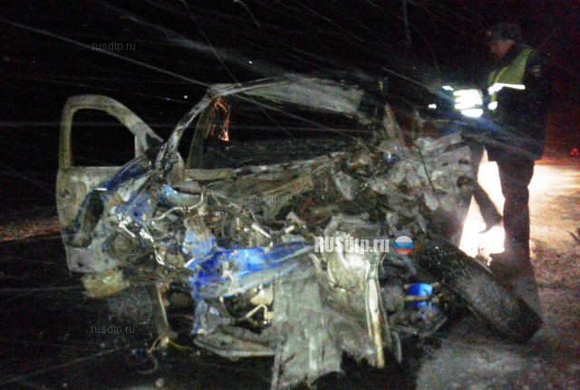 Трое взрослых и ребенок сгорели в автомобиле на трассе «Оренбург &#8212; Орск»