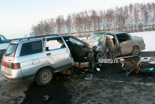 В Чистопольском районе в массовом ДТП погибли два человека
