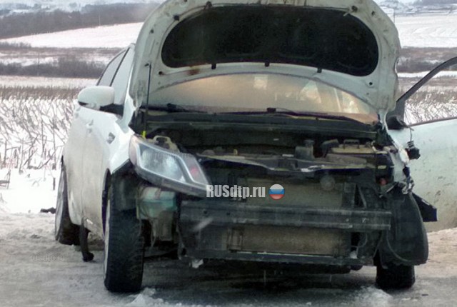 Пассажирка KIA погибла в ДТП на трассе Уфа-Оренбург