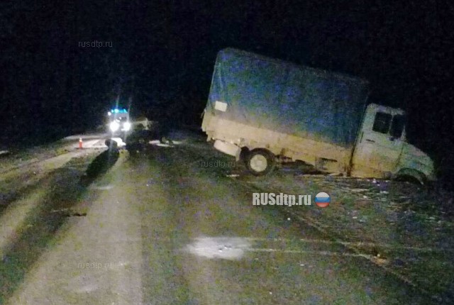 В Башкирии двое молодых на «Ладе» погибли, врезавшись в грузовик
