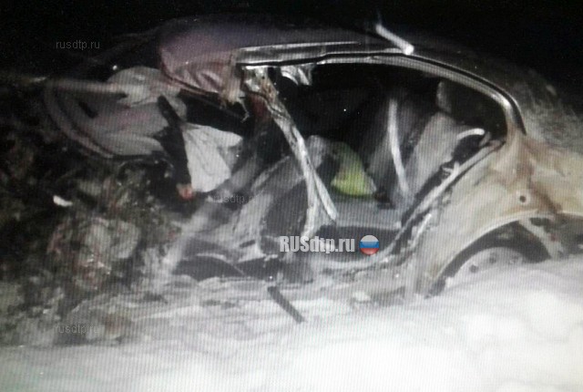Водитель Шкоды погиб в утреннем ДТП в Череповецком районе