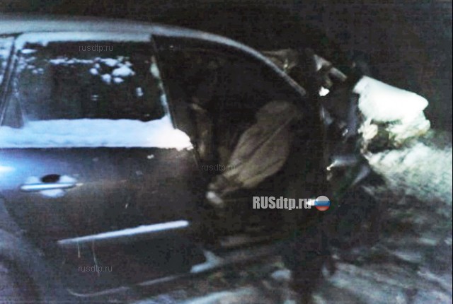Два человека погибли по вине автоледи на трассе Владимир – Муром – Арзамас