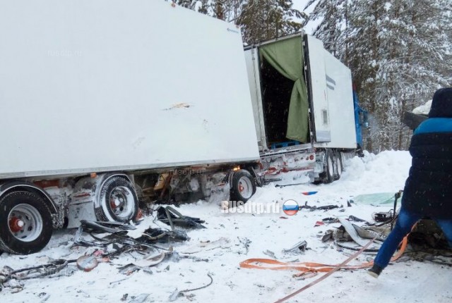 В Якутии в ДТП с участием грузовика и микроавтобуса погибли два человека