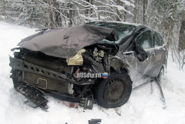 Водитель и пассажирка «Лады» погибли в ДТП на Вологодчине