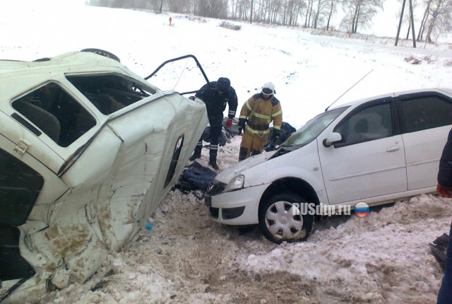 В Орловской области в массовом ДТП погибли двое полицейских